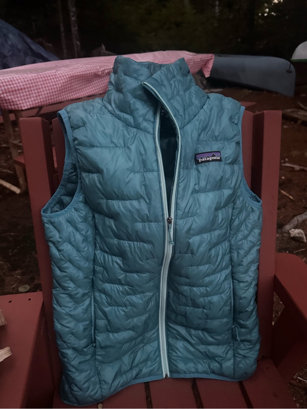 Patagonia Women's Micro Puff Vest size small